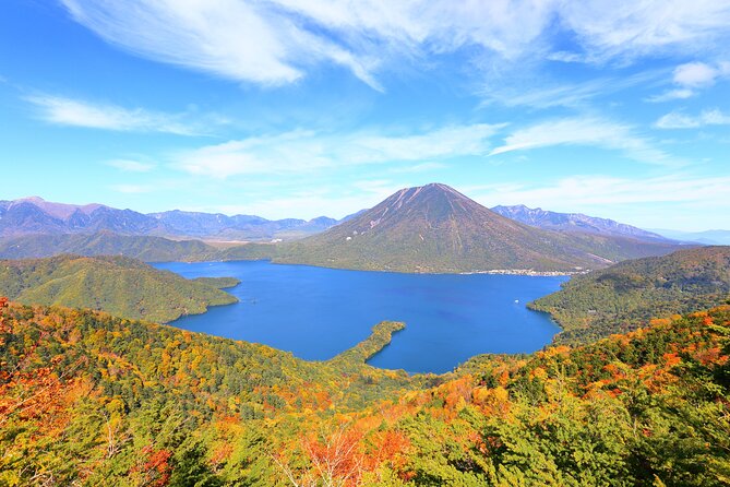 Explore the Culture and History of Nikko with this Private Tour - Why Nikko makes a strong day trip from Tokyo