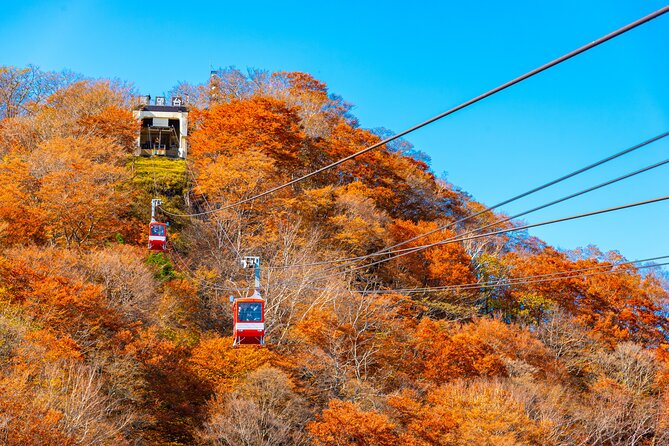 Explore the Culture and History of Nikko with this Private Tour - Timing, seasons, and the limits of the schedule