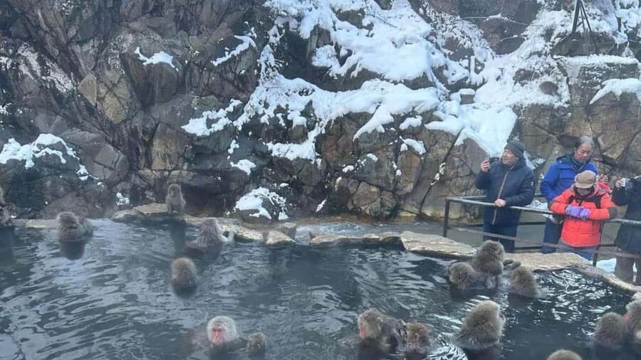 F: Tokyo:Nagano snow monkey/Zenko Ji temple private day tour - Reaching Jigokudani Monkey Park