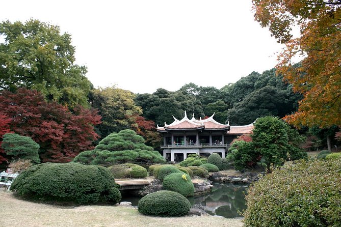 Free Choice of Itineraries Tokyo Private Tour - How the choose-four format works