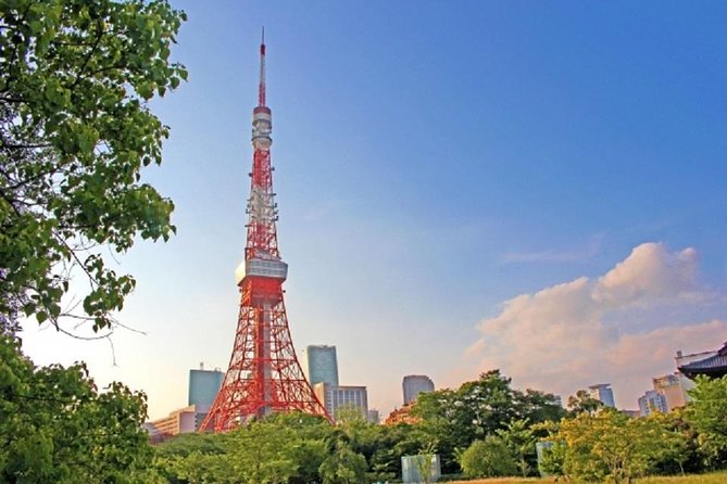 Freely set up plans Guided Private Tours in Tokyo - A private way to get your bearings in Tokyo