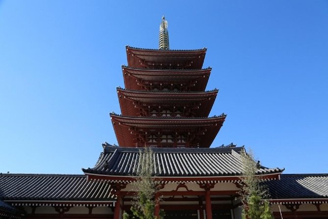 Freely set up plans Guided Private Tours in Tokyo - Tokyo Tower and Shinjuku Gyoen