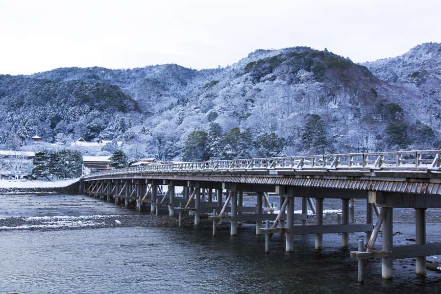 From Osaka: Kyoto & Nara Highlights Day Tour (7 attractions) - Why this day trip works from Osaka