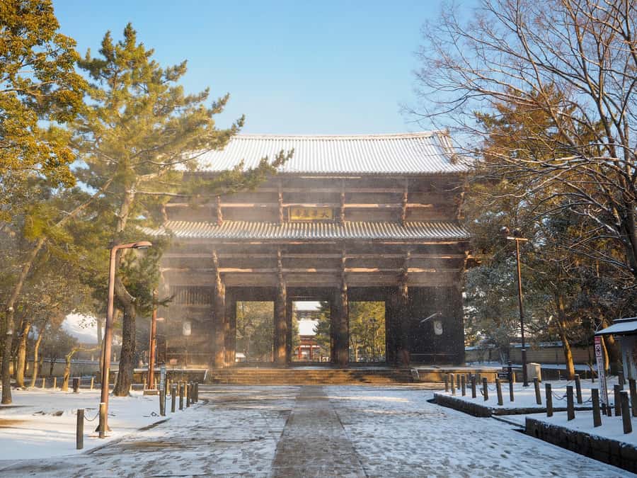 From Osaka: Kyoto & Nara Highlights Day Tour (7 attractions) - Byodoin Temple: Uji’s pond and the 10-yen coin