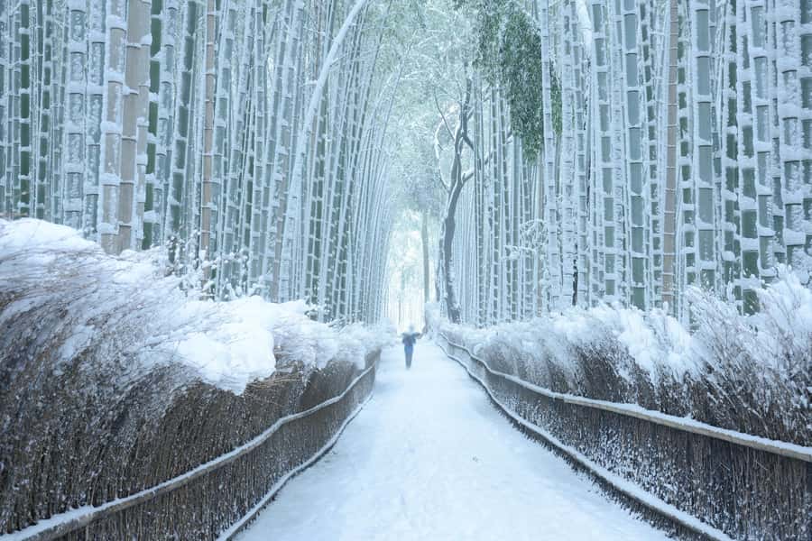From Osaka: Kyoto & Nara Highlights Day Tour (7 attractions) - Uji Omotesando and a self-guided lunch