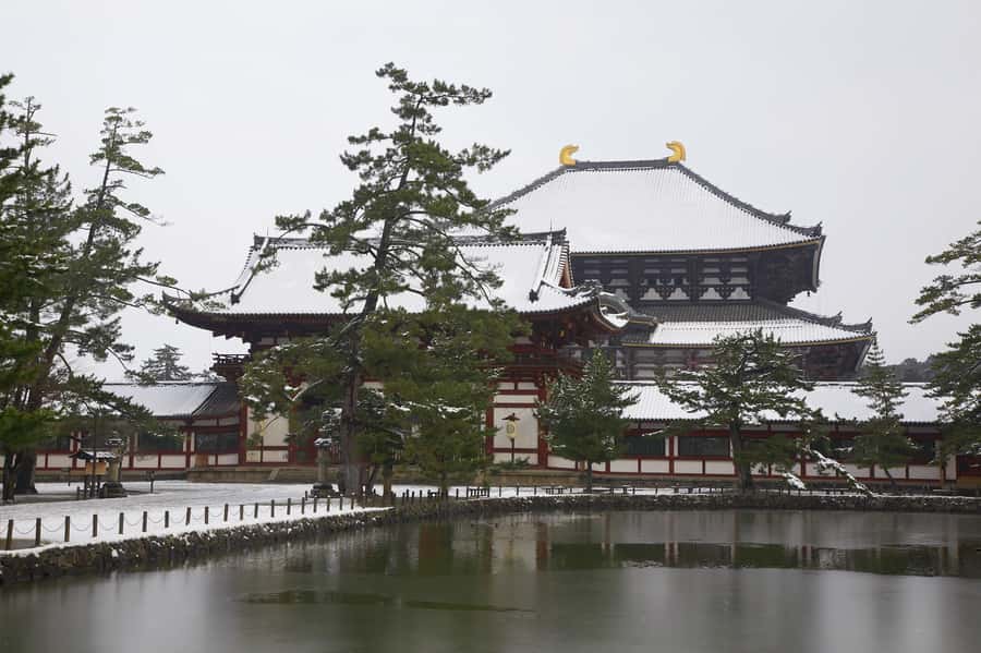 From Osaka: Kyoto & Nara Highlights Day Tour (7 attractions) - Kiyomizu-dera and Kyoto from the wooden stage