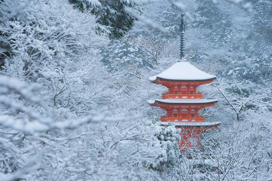 From Osaka: Kyoto & Nara Highlights Day Tour (7 attractions) - What the $53 price really covers