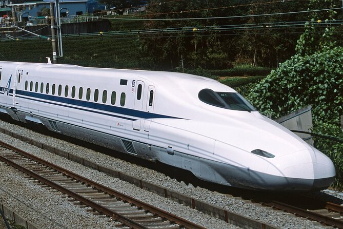 From Tokyo 1-Day Kyoto English-guided Tour by Bullet Train - Kiyomizu-dera for Kyoto views