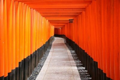 From Tokyo 1-Day Kyoto English-guided Tour by Bullet Train - Lunch at Miyako Hotel Kyoto Hachijo
