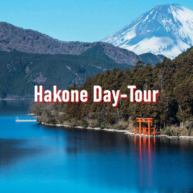 From Tokyo: 10-hour Hakone Private Custom Tour - Key points to know