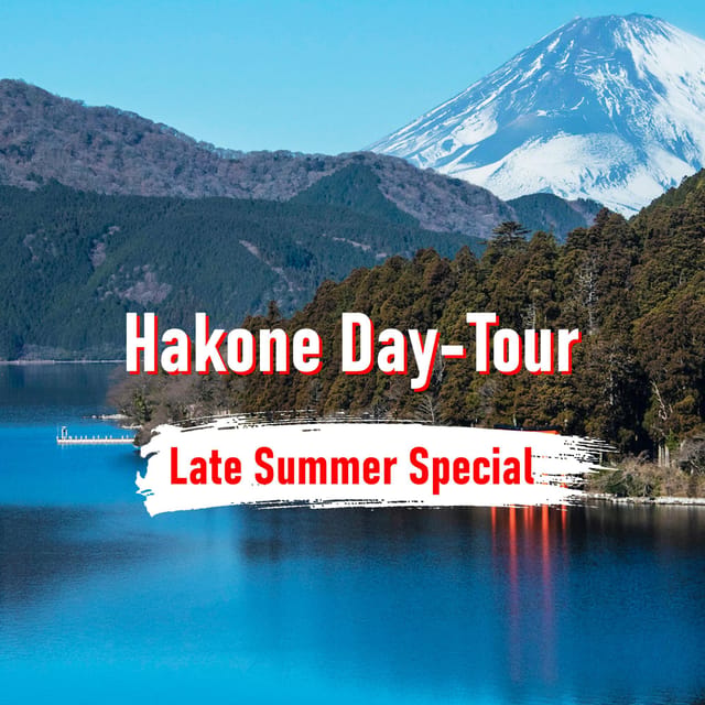 From Tokyo: 10-hour Hakone Private Custom Tour - Why a private car makes sense for Hakone
