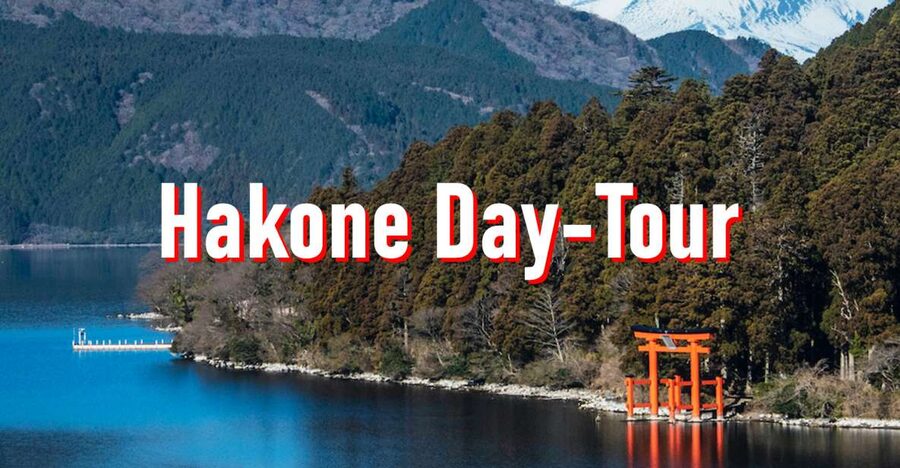 From Tokyo: 10-hour Hakone Private Custom Tour - Hakone Open Air Museum for art in the mountains