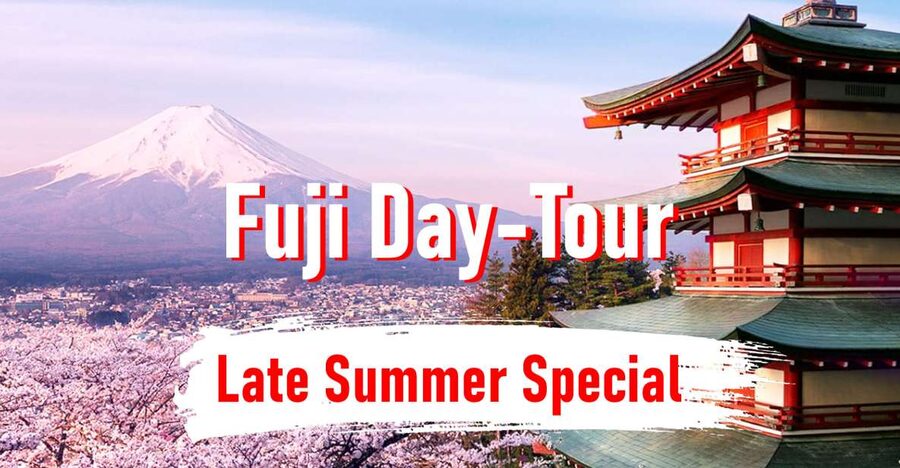 From Tokyo: 10-hour Mount Fuji Private Customizable Tour - Key points to know before booking