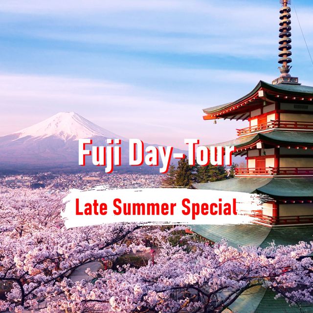 From Tokyo: 10-hour Mount Fuji Private Customizable Tour - Comfort, pickup, and group size