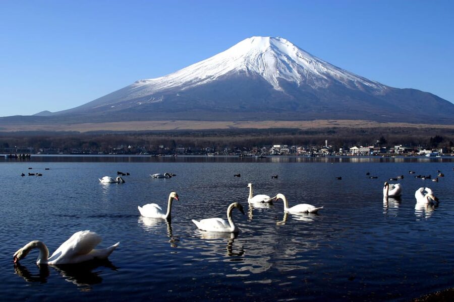 From Tokyo: Fuji Mountain Area - FujiQ - Lake Kawaguchiko - Chureito Pagoda - Fujiyoshida on the way to the pagoda