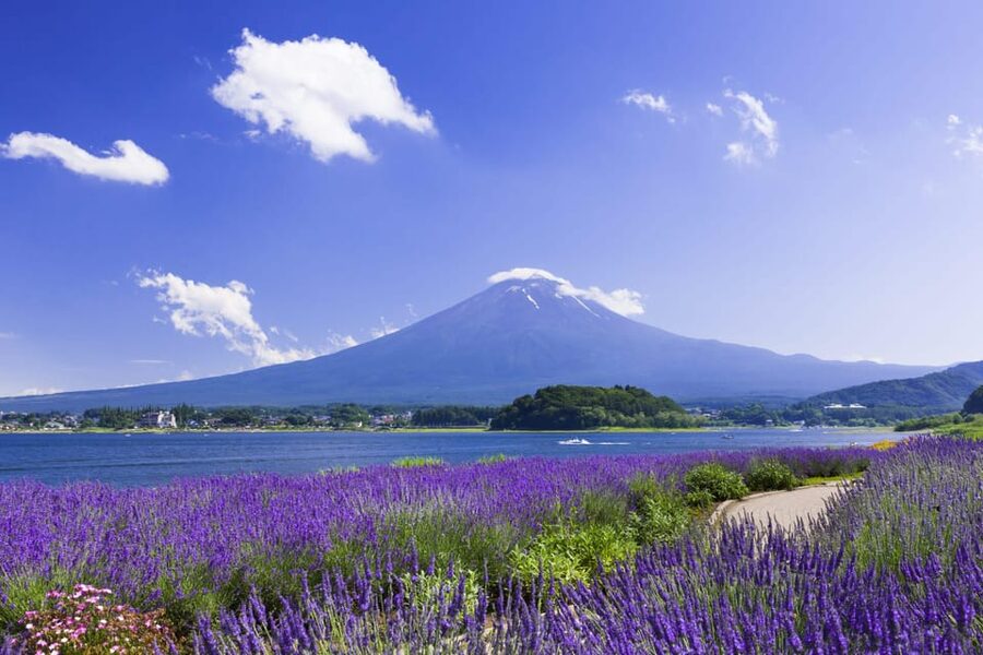 From Tokyo: Fuji Mountain Area - FujiQ - Lake Kawaguchiko - Chureito Pagoda - The long ride from Tokyo to Mount Fuji