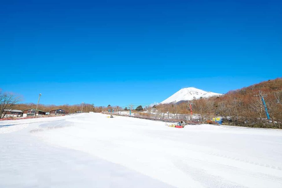 From Tokyo : Fujiyama Snow Resort Yeti Day Tour - A snow day built for first-time skiers