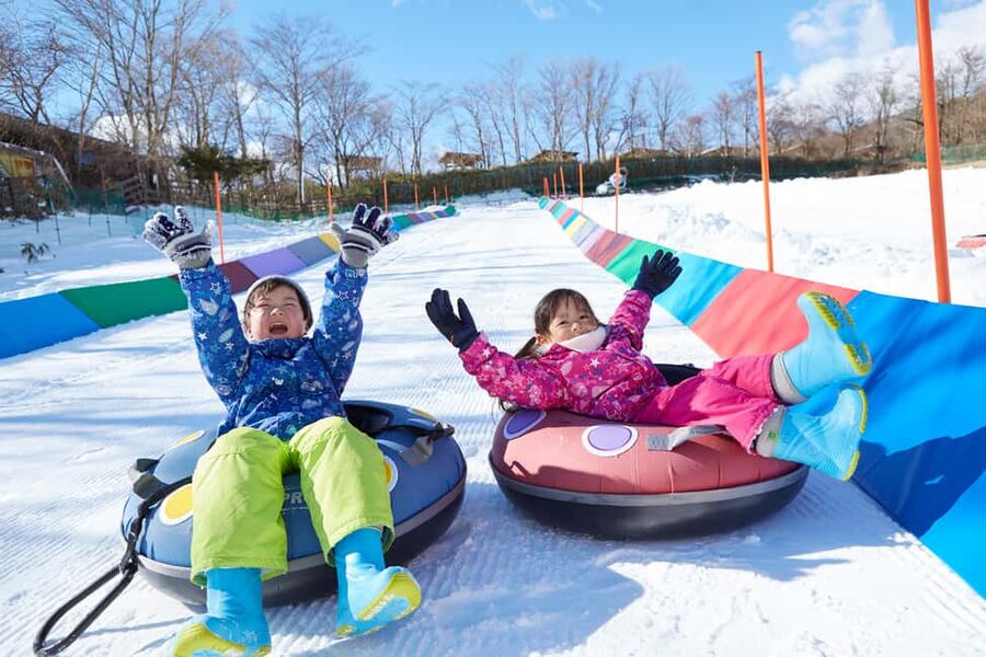 From Tokyo: Fujiyama Snow Resort Yeti Winter Ski Day Tour - Safety, ages, and small details that matter