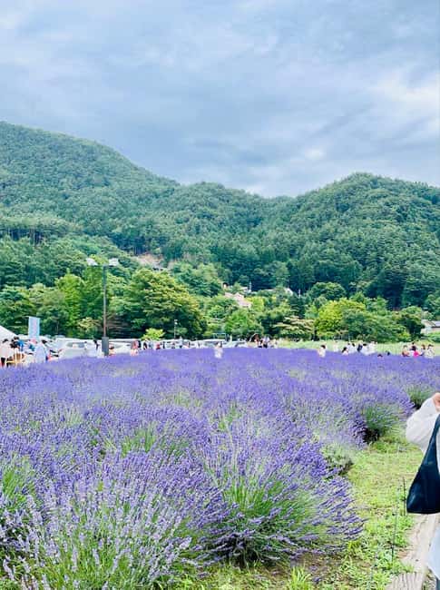 From Tokyo: Full-Day Mount Fuji Tour in English or Spanish - The best parts of this Fuji day trip