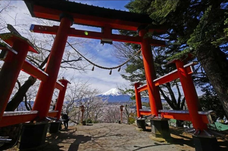 From Tokyo: Full-Day Mount Fuji Tour in English or Spanish - Honcho Street and Fuji through a town view