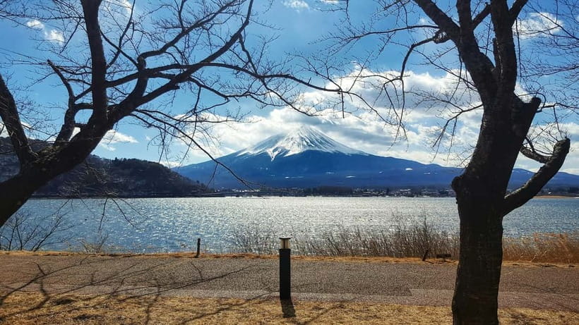 From Tokyo: Hakone Day Trip with English Speaking Driver - Gotemba Premium Outlets and the middle of the day