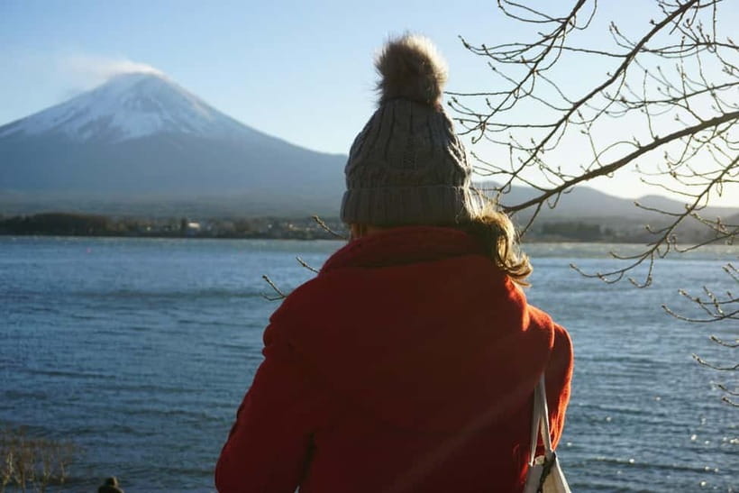 From Tokyo: Hakone Day Trip with English Speaking Driver - How the driver affects the day