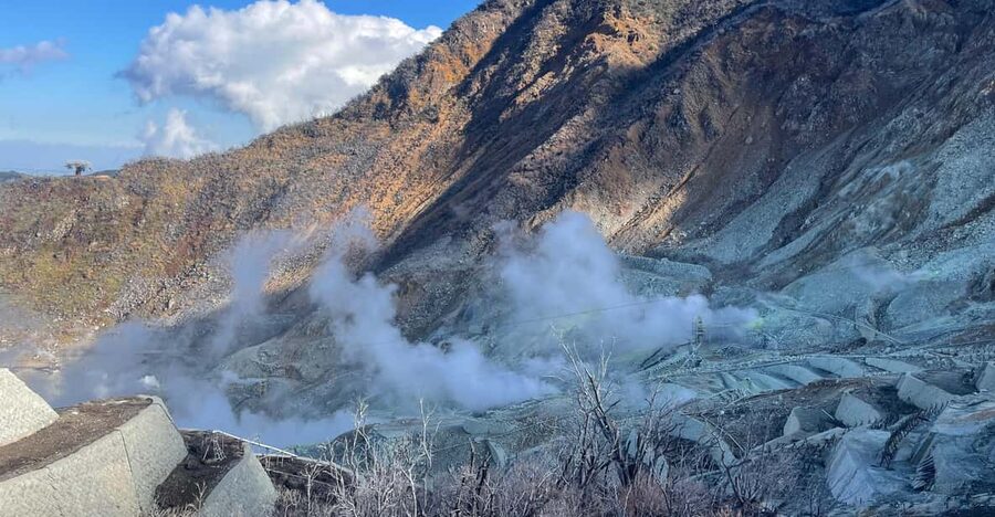 From Tokyo: Hakone Full Day Customizable Private Tour - Why a private Hakone day works better than a rushed group outing