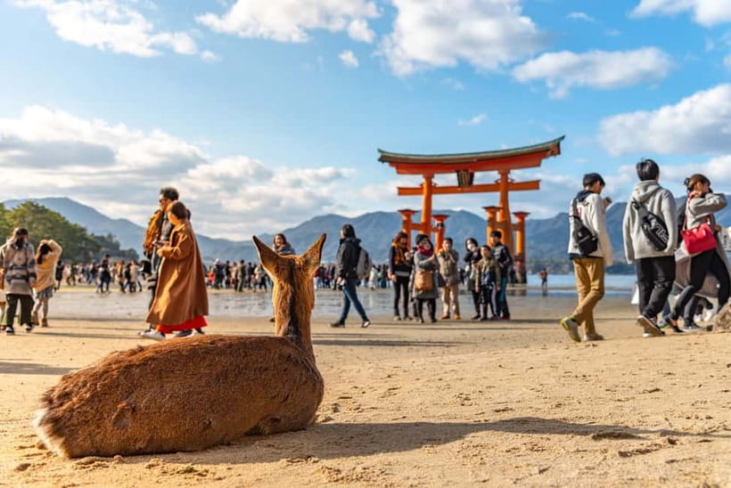 From Tokyo: Hiroshima and Miyajima Day Trip by Bullet Train - Arriving on Miyajima and seeing Itsukushima Shrine