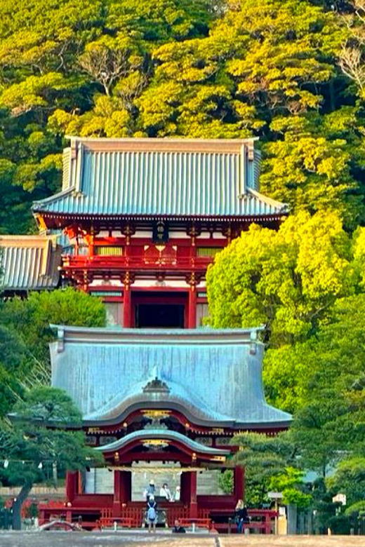 From Tokyo: Kamakura and Enoshima Full-Day Private Trip - Hase-dera for gardens and coastline views