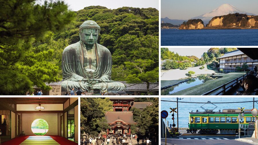 From Tokyo: Kamakura Full Day Tour with a Local Expert Guide - Key points to know before booking