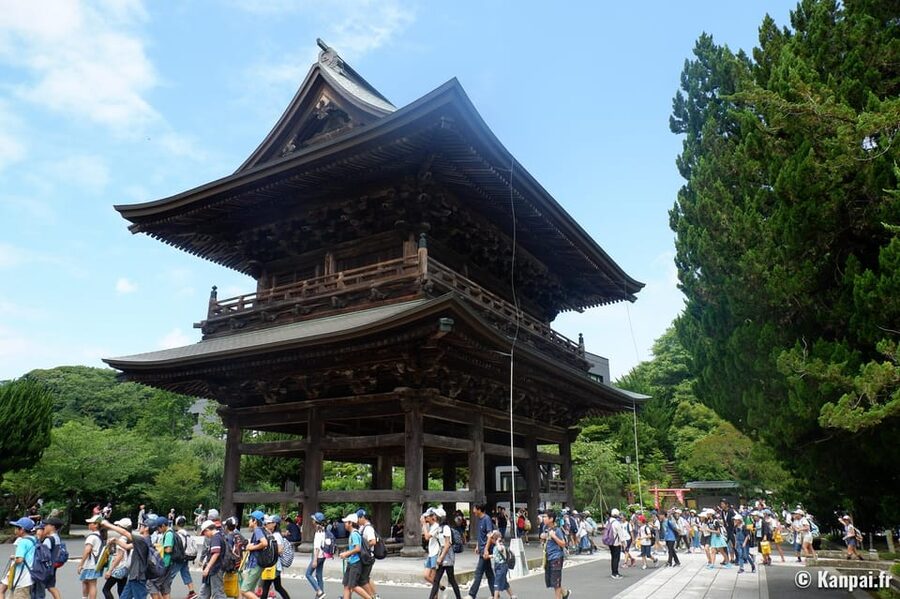 From Tokyo: Kamakura Full Day Tour with a Local Expert Guide - Lunch, matcha, and the value of local advice