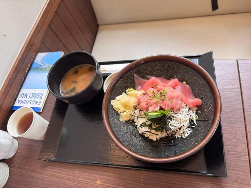 From Tokyo: Kamakura, Great Buddha, and Enoshima Bus Tour - Who should book this $75 tour?