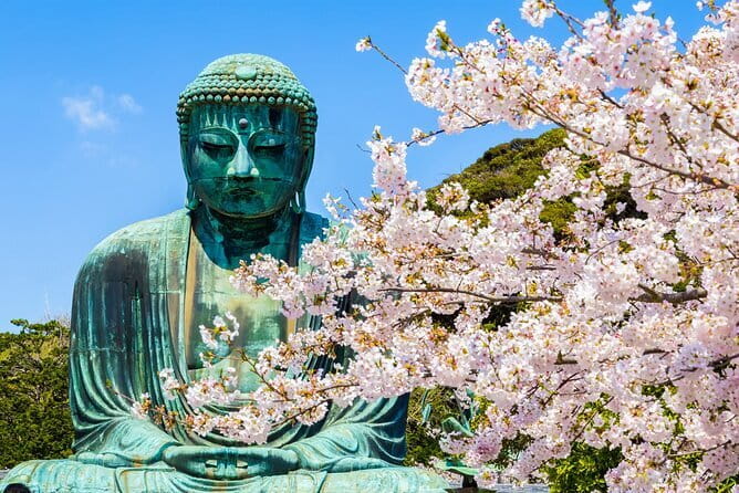 From Tokyo Kamakura, Hachimangu Shrine and Enoshima Full Day Tour - Kotoku-in and the Great Buddha