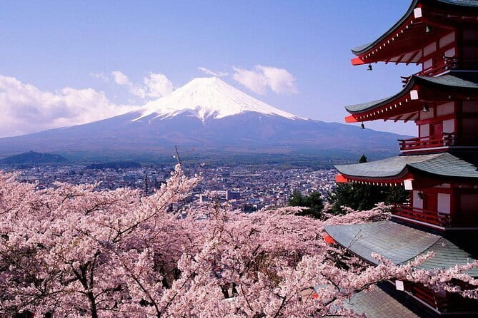From Tokyo Kamakura, Hachimangu Shrine and Enoshima Full Day Tour - Enoshima Shrine and the island’s steep paths