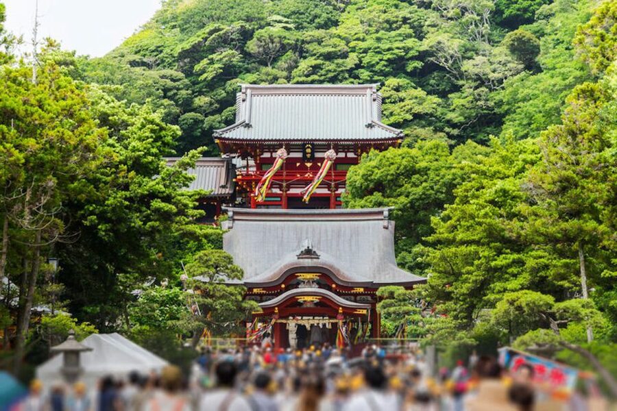 From Tokyo: Kamakura Private Customize Tour by Luxury Van - The Great Buddha at Kotoku-in
