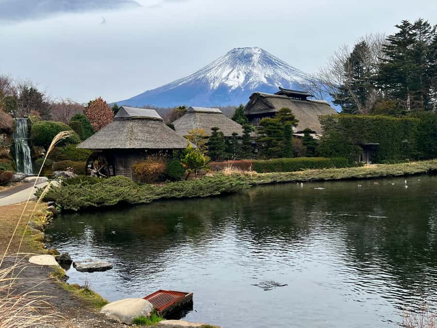 From Tokyo: Mount Fuji and Hakone Private Day Trip - Key points at a glance
