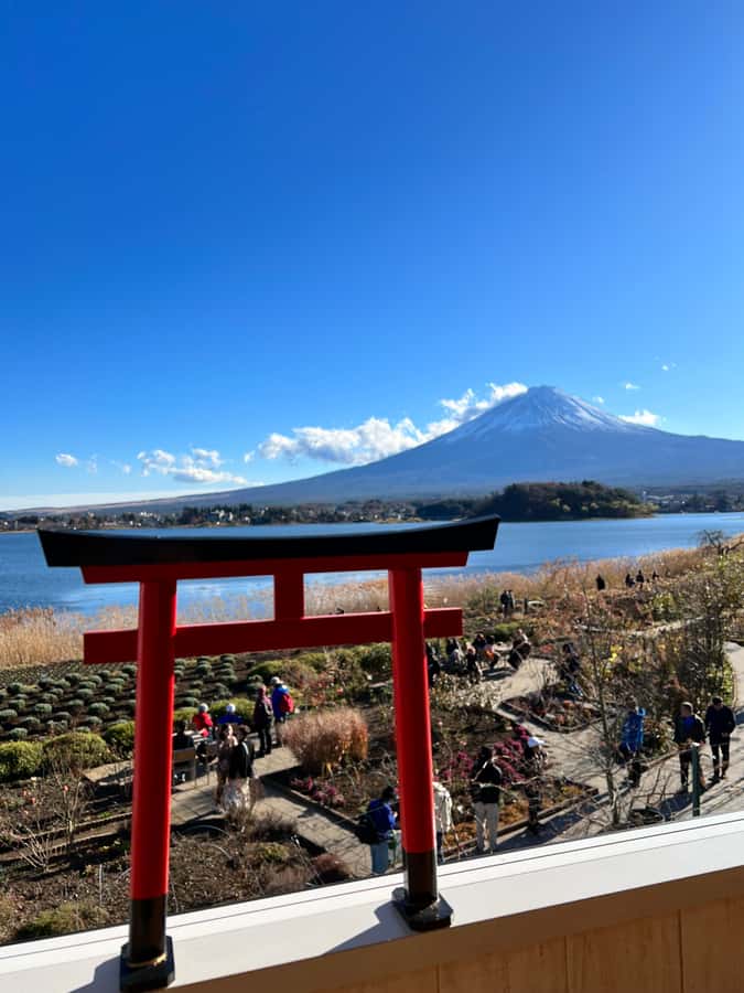 From Tokyo: Mount Fuji and Hakone Private Day Trip - What the private vehicle adds