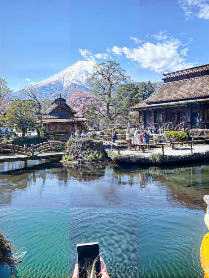 From Tokyo: Mount Fuji and Hakone Private Day Trip - Chureito Pagoda and the classic Fuji photograph
