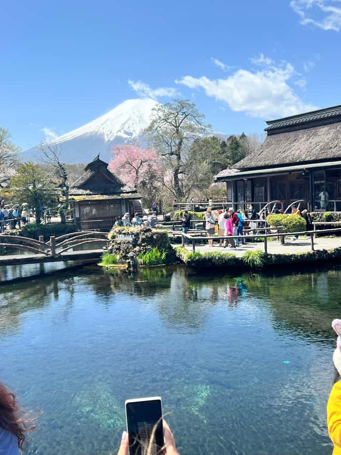 From Tokyo: Mount Fuji and Hakone Private Day Trip - Oshino Hakkai and the Fuji Five Lakes area