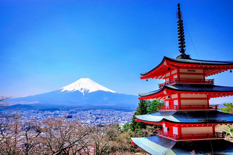 From Tokyo: Mount Fuji and Hakone Private Day Trip - Lake Ashi and the pirate cruise