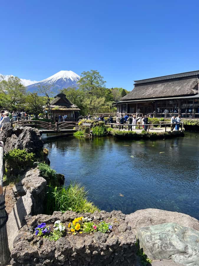 From Tokyo: Mount Fuji and Hakone Private Day Trip - The Hakone Open Air Museum