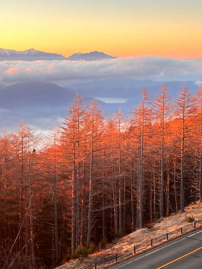 From Tokyo: Mount Fuji and Hakone Private Day Trip