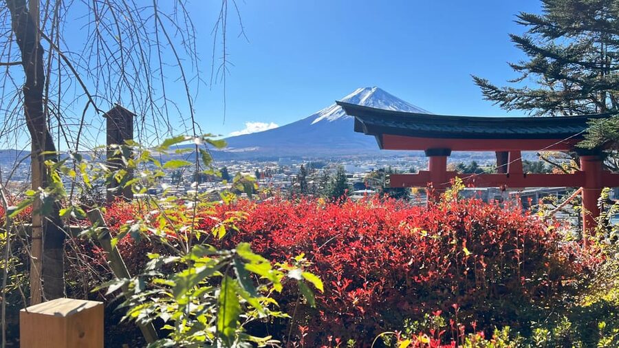 From Tokyo MOUNT FUJI and Lake Kawaguchi-ku Full Day Tour - Oishi Park and seasonal flowers