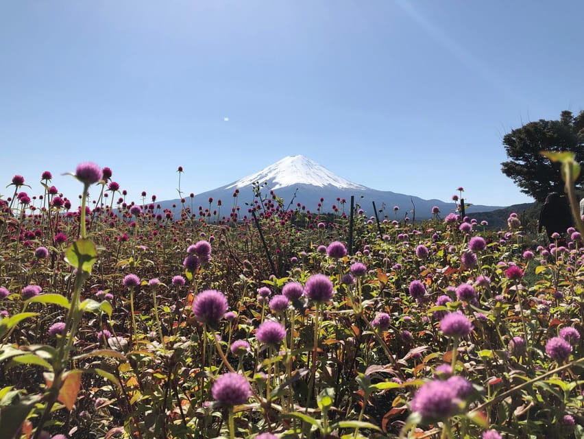 From Tokyo: Mount Fuji, Cruise and Sake Tour - Lunch is your own choice