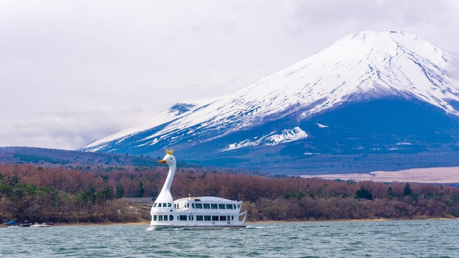 From Tokyo: Mount Fuji, Cruise and Sake Tour