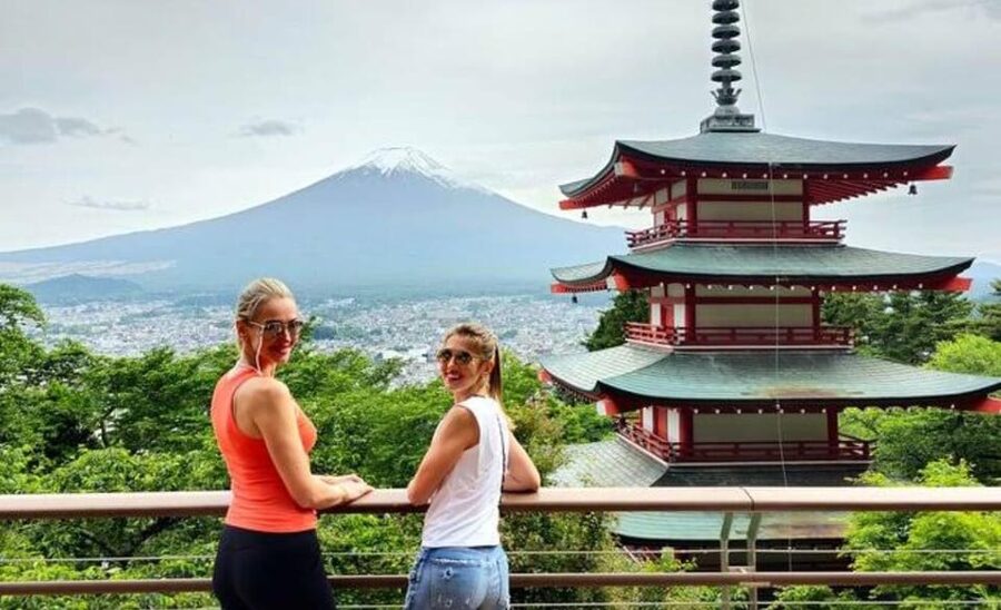 From Tokyo: Mount Fuji Full Customized Tour English Guide - Key points to know before booking