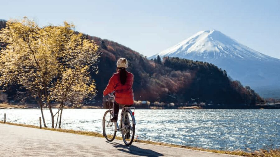 From Tokyo: Mount Fuji Full Customized Tour English Guide - Why a private car makes this Fuji day easier