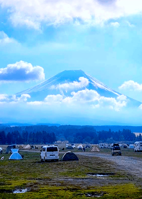 From Tokyo: Mount Fuji Full Day Customizable Private Tour - Five things to know before you book