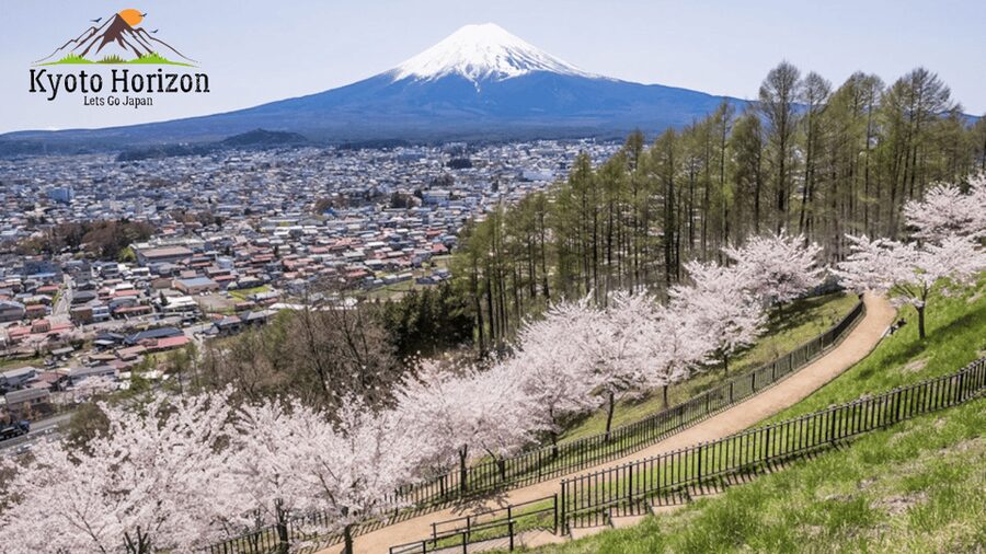 From Tokyo: Mount Fuji Full Day Customizable Private Tour - Hakone Ropeway, Owakudani, and Lake Ashi