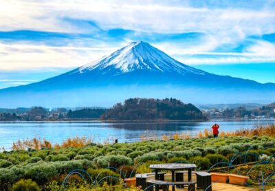 From Tokyo: Mount Fuji Full Day Customizable Private Tour - Building your day around Mount Fuji 5th Station